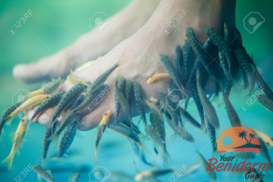 fish pedicure in benidorm indoor market