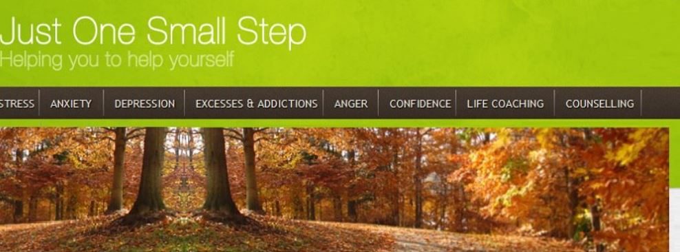 Just One Small Step